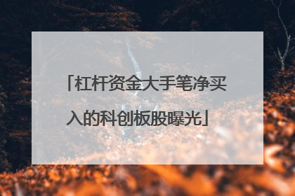 杠杆资金大手笔净买入的科创板股曝光