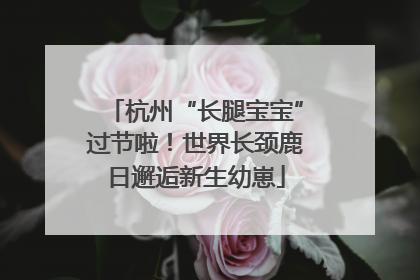 杭州“长腿宝宝”过节啦！世界长颈鹿日邂逅新生幼崽