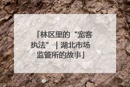 林区里的“宠客执法”｜湖北市场监管所的故事