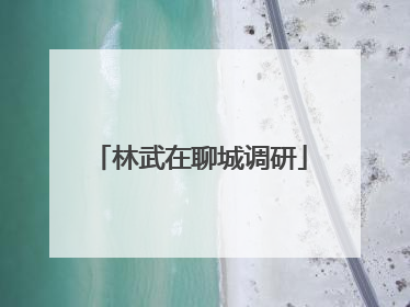 林武在聊城调研