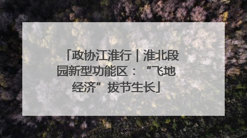 政协江淮行｜淮北段园新型功能区：“飞地经济”拔节生长