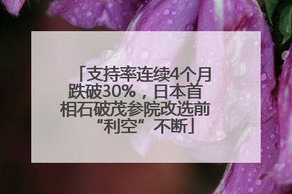 支持率连续4个月跌破30%，日本首相石破茂参院改选前“利空”不断