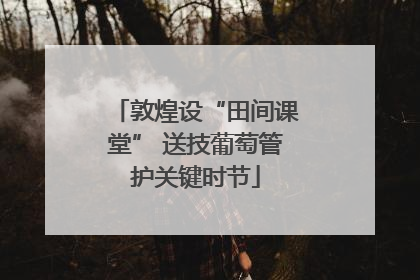 敦煌设“田间课堂” 送技葡萄管护关键时节