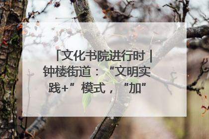 文化书院进行时｜钟楼街道：“文明实践+”模式，“加”出百姓幸福感