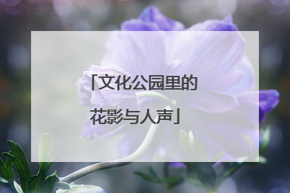 文化公园里的花影与人声
