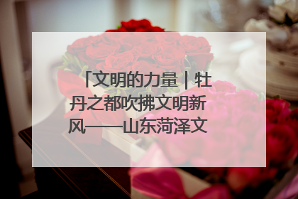 文明的力量｜牡丹之都吹拂文明新风——山东菏泽文明创建一线见闻