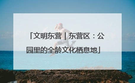 文明东营｜东营区：公园里的全龄文化栖息地