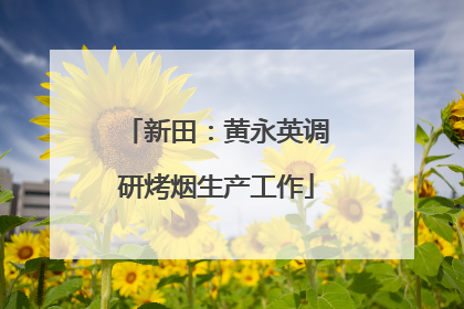 新田：黄永英调研烤烟生产工作