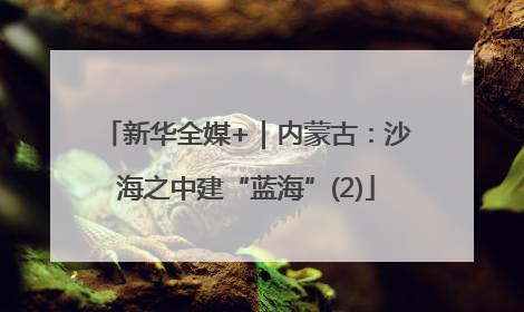 新华全媒+｜内蒙古：沙海之中建“蓝海”(2)