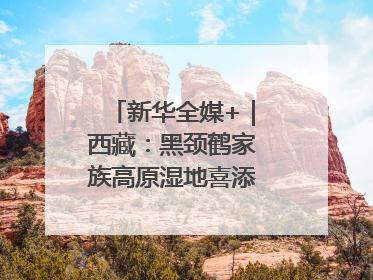 新华全媒+｜西藏：黑颈鹤家族高原湿地喜添“萌宝”