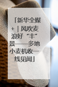 新华全媒+｜风吹麦浪好“丰”景——多地小麦机收一线见闻