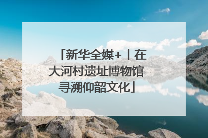 新华全媒+丨在大河村遗址博物馆寻溯仰韶文化