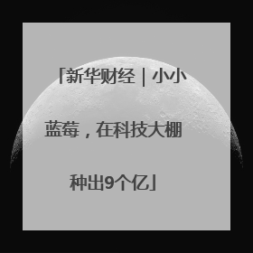 新华财经｜小小蓝莓，在科技大棚种出9个亿