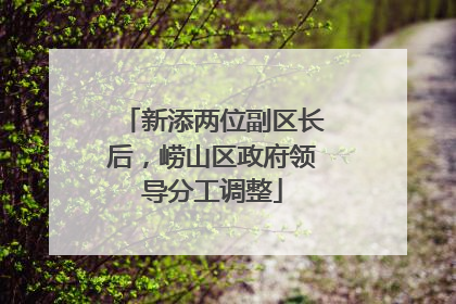 新添两位副区长后，崂山区政府领导分工调整