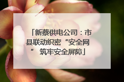 新蔡供电公司：市县联动织密“安全网” 筑牢安全屏障