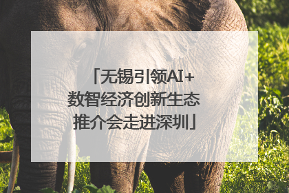 无锡引领AI+数智经济创新生态推介会走进深圳