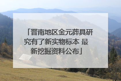 晋南地区金元葬具研究有了新实物标本 最新挖掘资料公布
