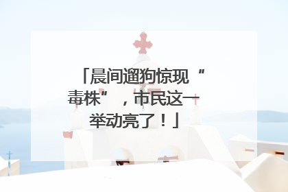 晨间遛狗惊现“毒株”，市民这一举动亮了！