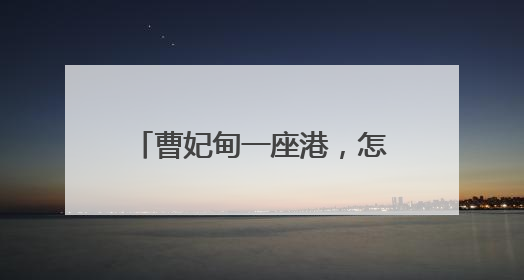 曹妃甸一座港，怎样带动一座城？人民日报记者调查