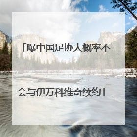 曝中国足协大概率不会与伊万科维奇续约