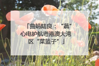 曲靖陆良：“蔬”心电护航粤港澳大湾区“菜篮子”