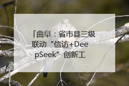 曲阜：省市县三级联动“信访+DeepSeek”创新工作新闻发布会举行