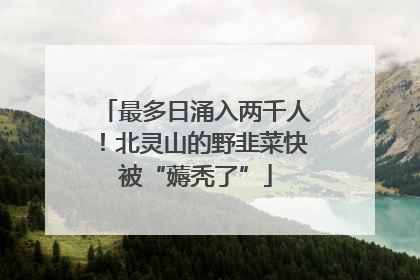 最多日涌入两千人！北灵山的野韭菜快被“薅秃了”