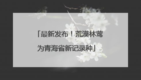 最新发布！荒漠林莺为青海省新记录种