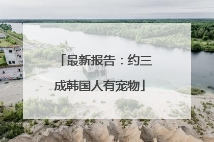 最新报告：约三成韩国人有宠物