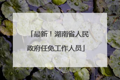 最新！湖南省人民政府任免工作人员