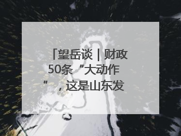 望岳谈｜财政50条“大动作”，这是山东发展民企的决心