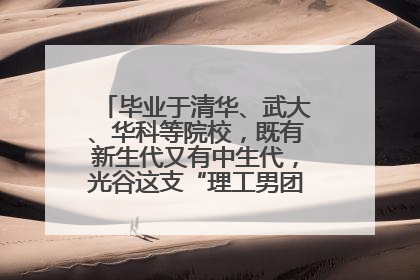 毕业于清华、武大、华科等院校，既有新生代又有中生代，光谷这支“理工男团”为何“出道”？