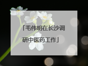 毛伟明在长沙调研中医药工作