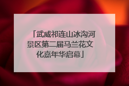 武威祁连山冰沟河景区第二届马兰花文化嘉年华启幕