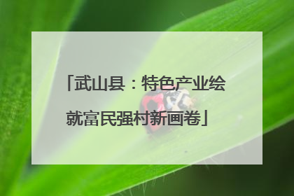 武山县：特色产业绘就富民强村新画卷