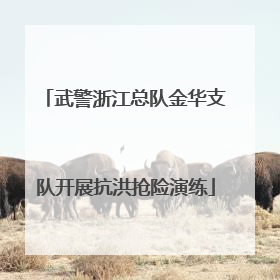 武警浙江总队金华支队开展抗洪抢险演练