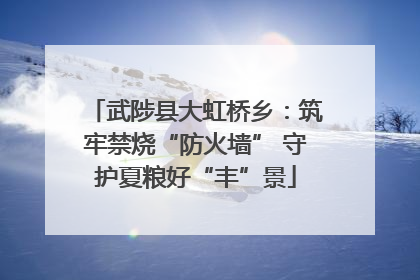武陟县大虹桥乡：筑牢禁烧“防火墙” 守护夏粮好“丰”景
