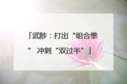 武陟：打出“组合拳” 冲刺“双过半”