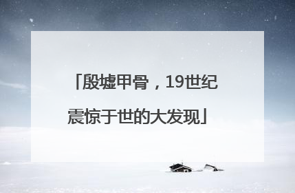 殷墟甲骨，19世纪震惊于世的大发现