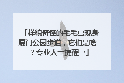 样貌奇怪的毛毛虫现身厦门公园步道，它们是啥？专业人士提醒→
