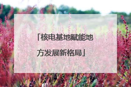 核电基地赋能地方发展新格局