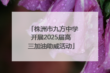 株洲市九方中学开展2025届高三加油助威活动