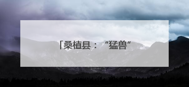 桑植县：“猛兽”当前 他们在行动