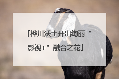 桦川沃土开出绚丽“影视+”融合之花