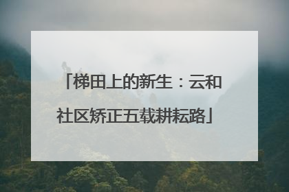 梯田上的新生：云和社区矫正五载耕耘路