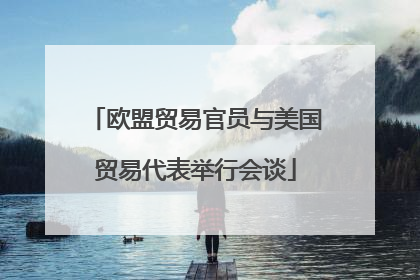欧盟贸易官员与美国贸易代表举行会谈