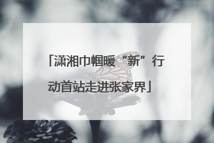 潇湘巾帼暖“新”行动首站走进张家界