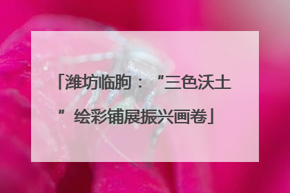 潍坊临朐：“三色沃土”绘彩铺展振兴画卷