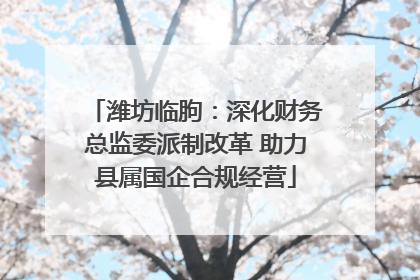 潍坊临朐：深化财务总监委派制改革 助力县属国企合规经营