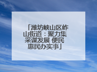潍坊峡山区岞山街道：聚力集采谋发展 便民惠民办实事